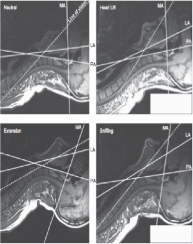 Screen-Shot-2014-03-12-at-2.58.49-pm