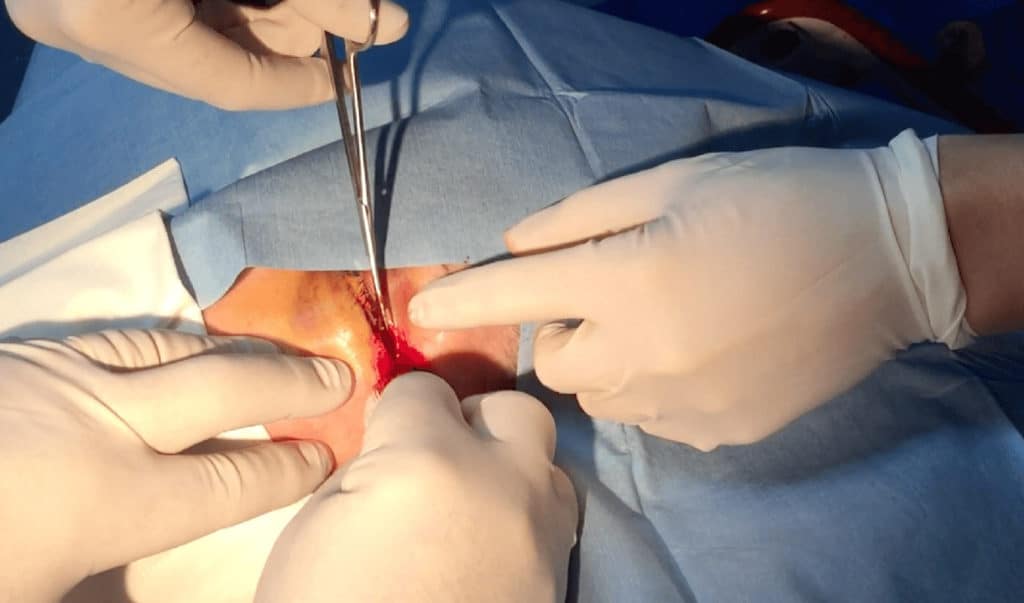 Screen-Shot-2017-09-12-at-2.03