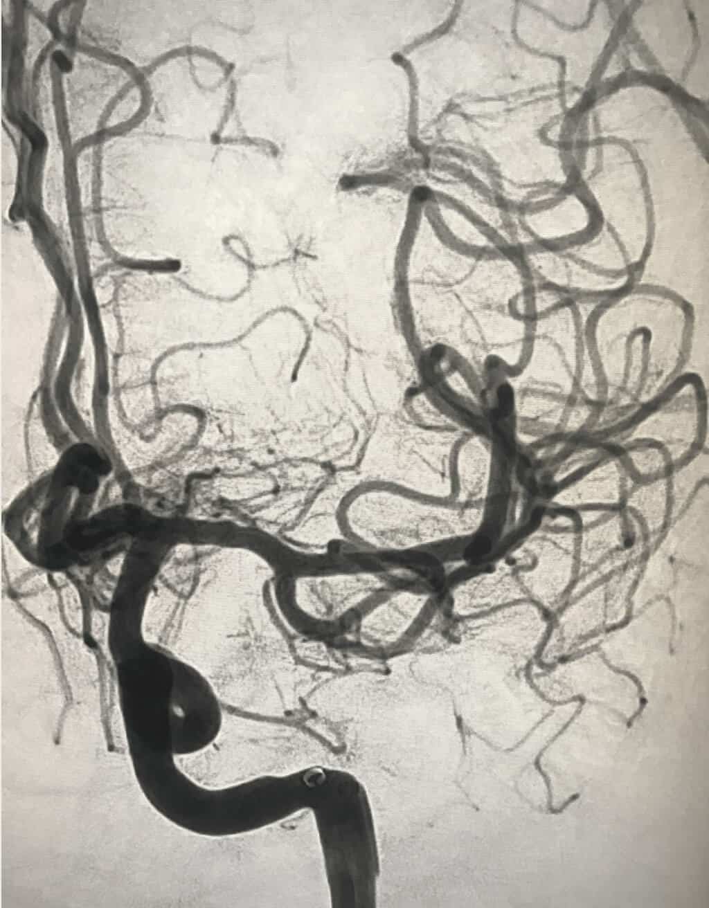 Screen-Shot-2018-11-26-at-9.23