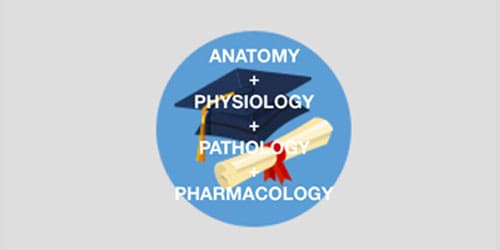 primary-exam--banner3